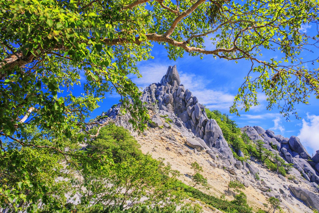鳳凰三山 アカヌケ沢ノ頭と地蔵ヶ岳 オベリスク 南アルプス