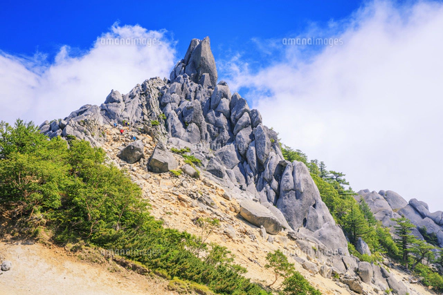 鳳凰三山 アカヌケ沢ノ頭より北岳 南アルプス[25488042334]の写真