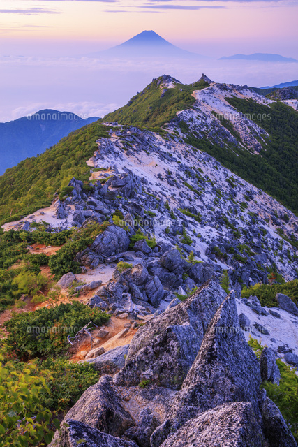 鳳凰三山 観音岳より薬師岳と富士山朝景 南アルプス[25488042281]の