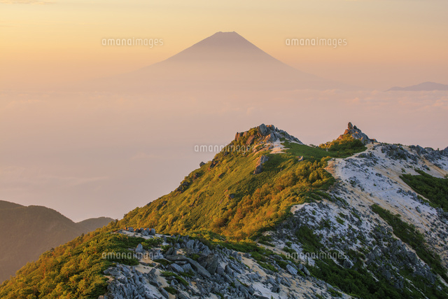 鳳凰三山 観音岳より薬師岳と富士山朝景 南アルプス[25488042288]の