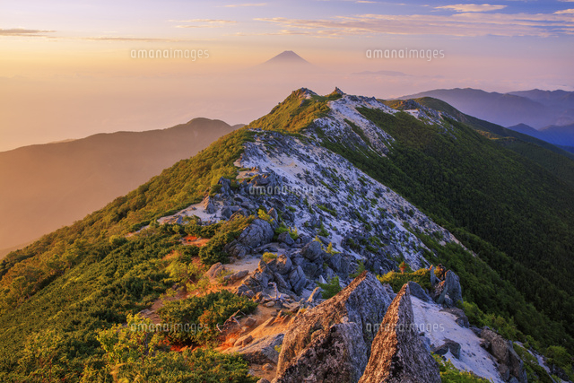 鳳凰三山 観音岳より薬師岳と富士山朝景 南アルプス[25488042291]の