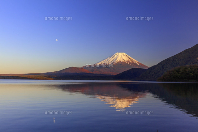 本栖湖より夕日に染まる富士山と月[25488042615]の写真・イラスト素材