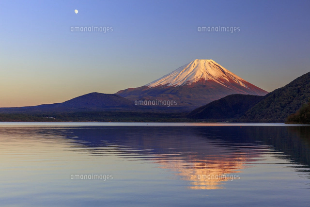 本栖湖より夕日に染まる富士山と月[25488042615]の写真・イラスト素材