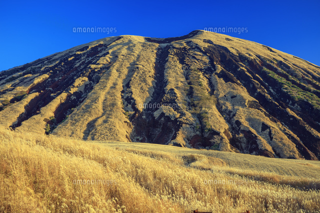 ススキ原と杵島岳 阿蘇山 の写真素材 イラスト素材 アマナイメージズ