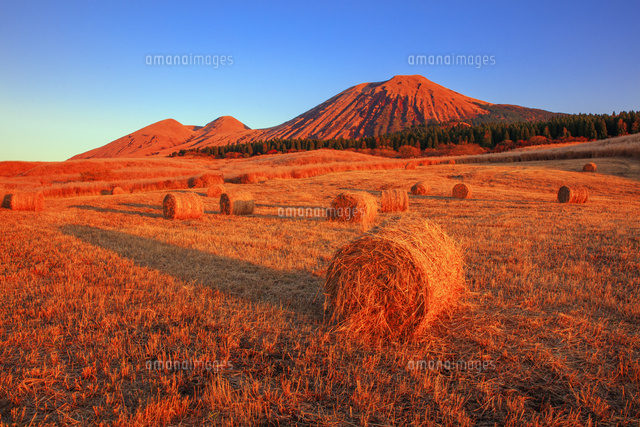 夕日に染まる干し草ロールと往生岳と杵島岳 阿蘇山 の写真素材 イラスト素材 アマナイメージズ