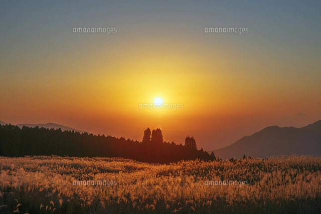 阿蘇山の夕暮れ春 ススキ原より夕日と雲仙岳 阿蘇山[25488043206]の写真・イラスト