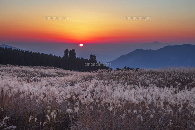 阿蘇山の夕暮れ春 今日の夕景 真っ赤な夕陽にススキを添えて 久しぶりに観る山から