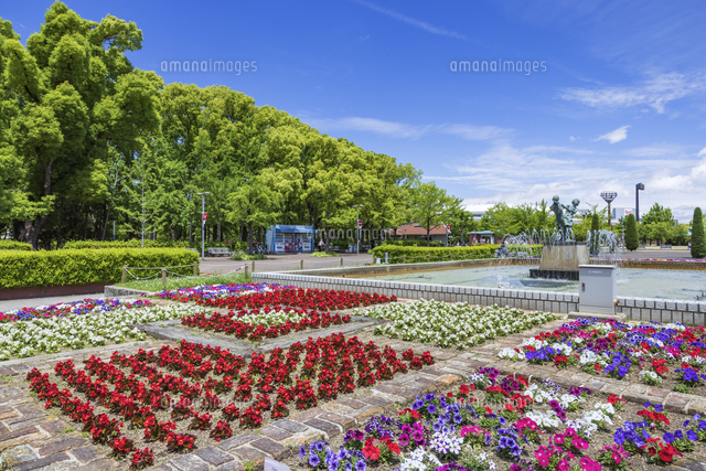 春の花咲く長居公園 の写真素材 イラスト素材 アマナイメージズ