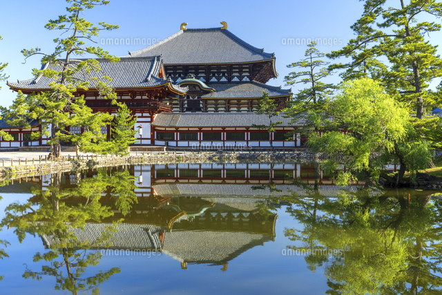 新緑の鏡池より東大寺大仏殿[25488048416]の写真・イラスト素材