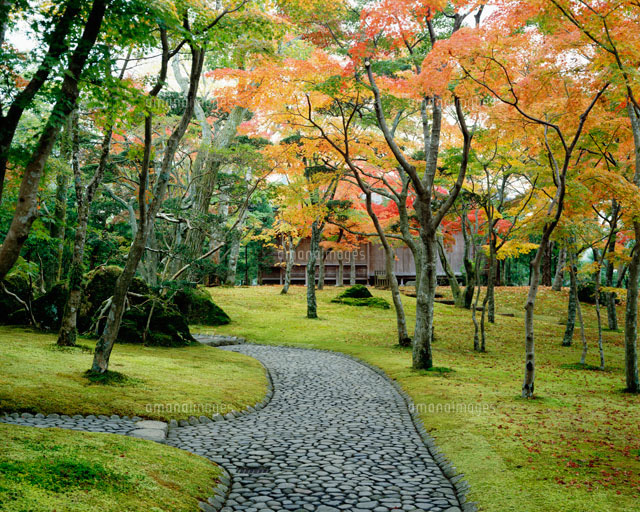 秋の苔庭 箱根美術館[25516021142]の写真・イラスト素材｜アマナ