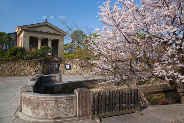 桜咲く倉敷 大原美術館 の写真素材 イラスト素材 アマナイメージズ