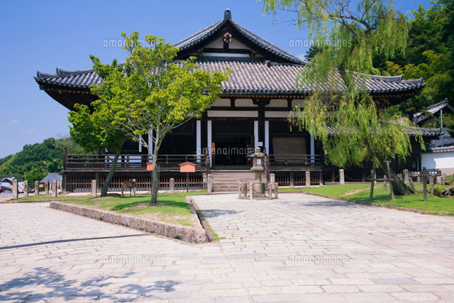 奈良公園 東大寺 三月堂 の写真素材 イラスト素材 アマナイメージズ 奈良公園 東大寺 三月堂 の写真素材 イラスト素材 アマナイメージズ