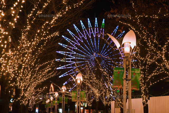 神戸ガス燈通りのイルミネーション の写真素材 イラスト素材 アマナイメージズ