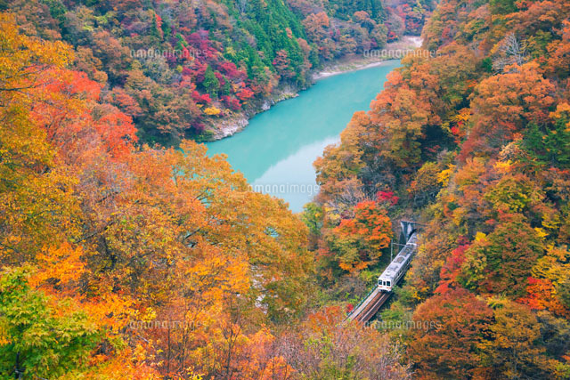 初秋の天竜川 初秋の天竜川 the naturalist riverside （ザ・ナチュラリスト