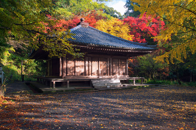 紅葉の富貴寺 大堂 の写真素材 イラスト素材 アマナイメージズ