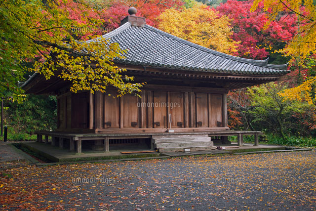 紅葉の富貴寺 大堂 の写真素材 イラスト素材 アマナイメージズ