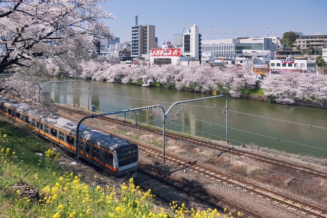 桜咲く外濠とjr中央線 の写真素材 イラスト素材 アマナイメージズ