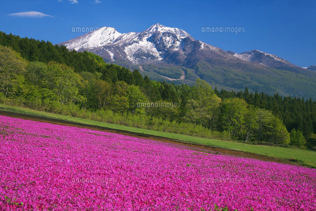 風景画　黒姫山　額縁入り Yahoo!オークション - 榮永大治良 【黒姫山伝説】 希少な額装用