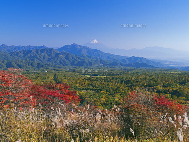 紅葉の美し森より富士山 清里[25516038120]の写真・イラスト素材
