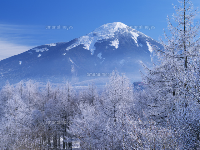 カラマツ霧氷と蓼科山(諏訪富士) 車山高原付近[25516038396]の写真 