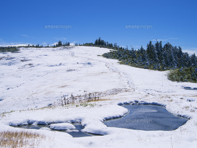 雪の池塘と樹氷の木立 会津駒ヶ岳 中門岳 の写真素材 イラスト素材 アマナイメージズ