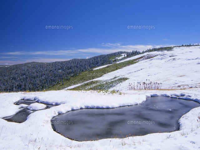雪の池塘と樹氷の斜面 会津駒ヶ岳 中門岳 の写真素材 イラスト素材 アマナイメージズ