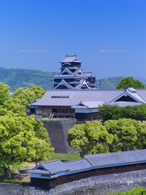 新緑の熊本城 本丸御殿大広間と天守閣[25516042008]の写真・イラスト