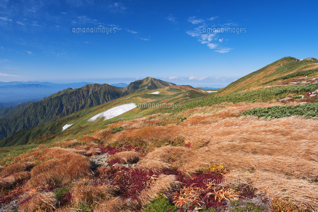 紅葉の飯豊山より大日岳 飯豊連峰[25516042882]の写真・イラスト素材