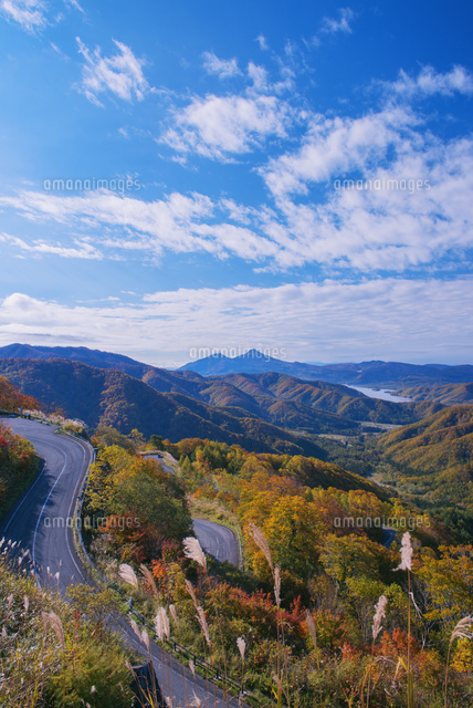 紅葉の西吾妻スカイバレーと桧原湖と磐梯山 会津富士 の写真素材 イラスト素材 アマナイメージズ