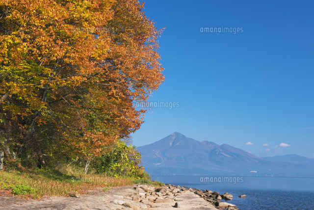 紅葉の猪苗代湖と磐梯山(会津富士)[25516044179]の写真・イラスト素材