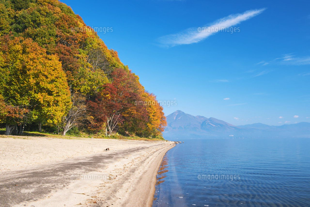 紅葉の猪苗代湖と磐梯山(会津富士)[25516044179]の写真・イラスト素材