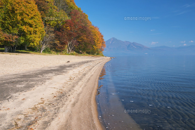 紅葉の猪苗代湖と磐梯山(会津富士)[25516044303]の写真・イラスト素材