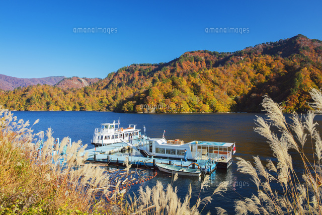 紅葉の奥只見湖と遊覧船 の写真素材 イラスト素材 アマナイメージズ