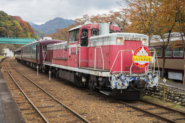 わたらせ渓谷鐵道トロッコわっしー号運転席展望 紅葉に彩られた大自然の景観 渡良瀬渓谷をトロッコが走る [DVD] Amazon.co.jp: わたらせ渓谷鐵道トロッコわっしー号運転席展望