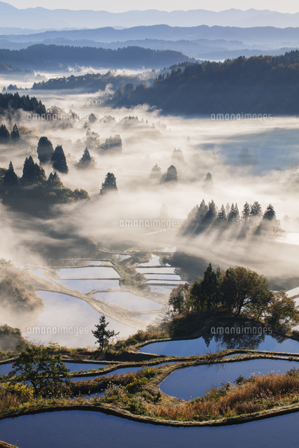 雲海の星峠の棚田朝景 の写真素材 イラスト素材 アマナイメージズ