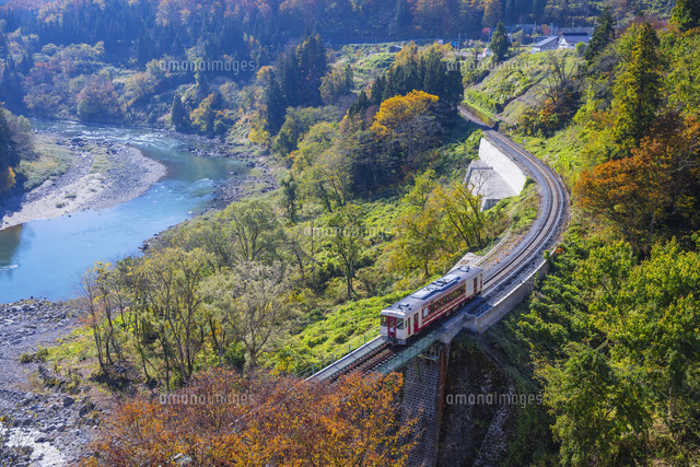 紅葉の飯山線と千曲川,横倉駅～森宮野原駅[25516046750]の写真