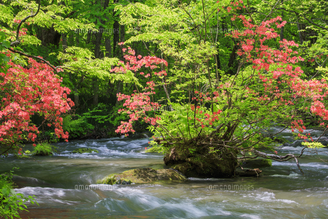 渓流 20220926075439_471876368_16012