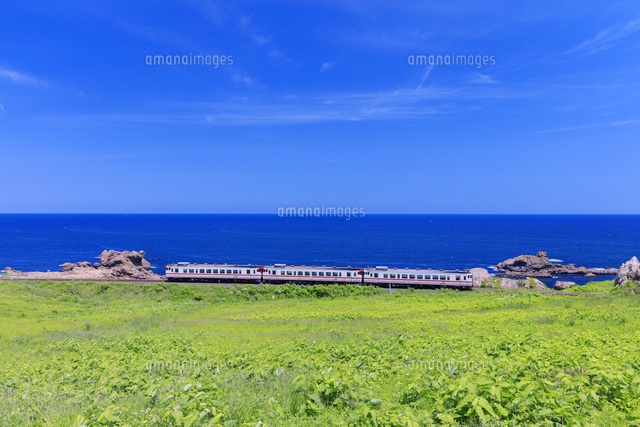 種差海岸 八戸線 鮫駅～陸奥白浜駅[25516047980]の写真・イラスト素材