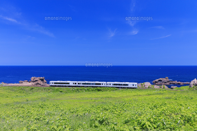 種差海岸 八戸線 TOHOKU EMOTION 鮫駅～陸奥白浜駅[25516047981]の写真