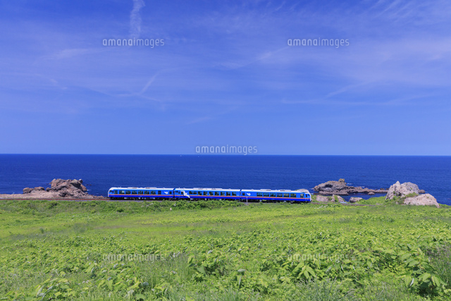 種差海岸 八戸線 リゾートうみねこ 鮫駅～陸奥白浜駅[25516048069]の