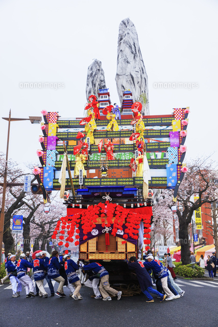 日立さくらまつり 桜と日立風流物 の写真素材 イラスト素材 アマナイメージズ