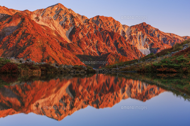 紅葉の八方池と白馬三山朝景 八方尾根 の写真素材 イラスト素材 アマナイメージズ