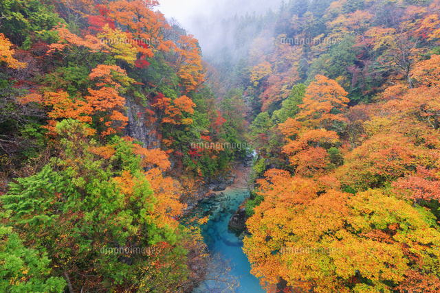 紅葉の付知峡 の写真素材 イラスト素材 アマナイメージズ