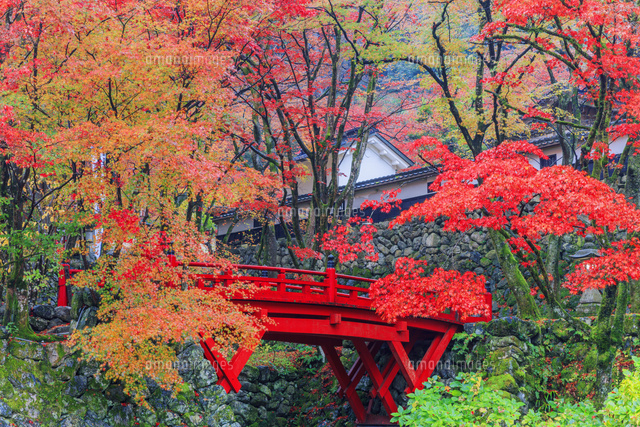 紅葉の両界山横蔵寺 の写真素材 イラスト素材 アマナイメージズ