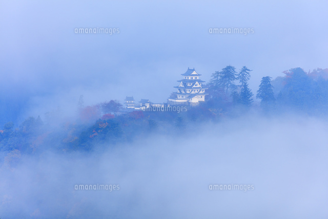 天空の城 郡上八幡城[25516053104]の写真・イラスト素材｜アマナイメージズ