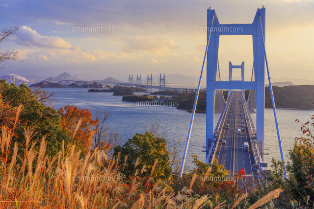 鷲羽山より紅葉と瀬戸大橋夕景[25516053160]の写真・イラスト素材