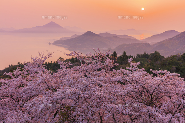 桜咲く開山公園より瀬戸内海の島々と朝日 の写真素材 イラスト素材 アマナイメージズ