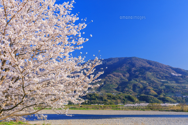 富士山天龍川写真帖　大正11年　古写真　戦前 富士山天龍川写真帖 大正11年 古写真 戦前