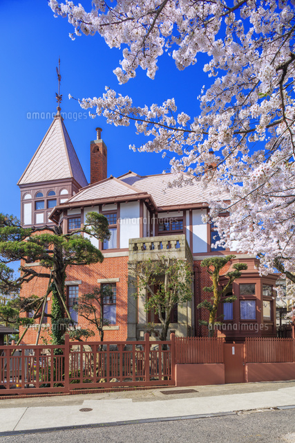 桜咲く風見鶏の館（旧トーマス住宅）[25516053781]の写真・イラスト