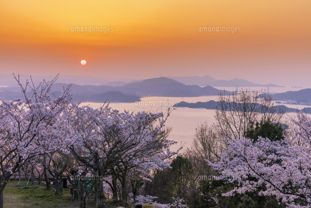 ぷうあさま専用（原画）桜舞う海の色 ほか　8点おまとめ ぷうあさま専用（原画）桜舞う海の色 ほか 8点おまとめ 絵画